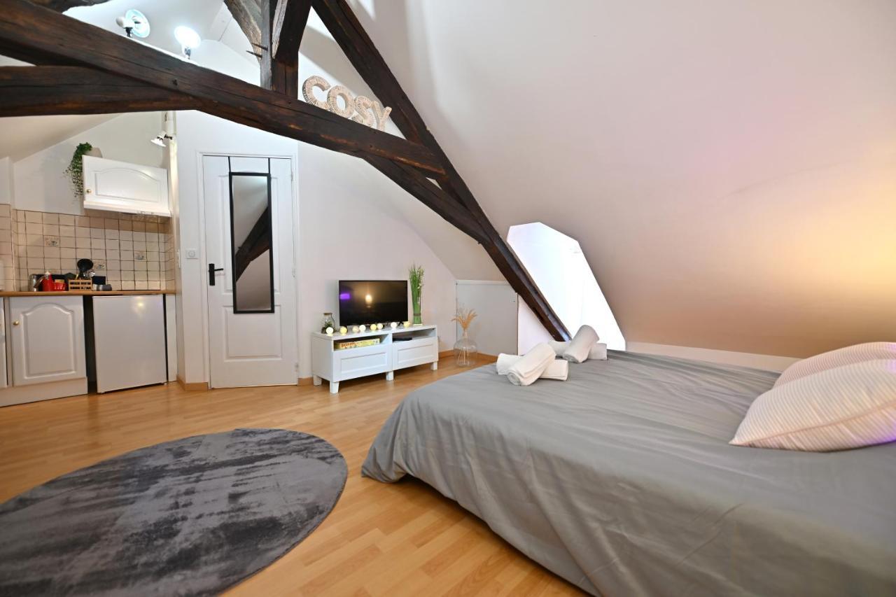 Le Cosy Du Tambour D'Argent Apartment Sens Exterior photo