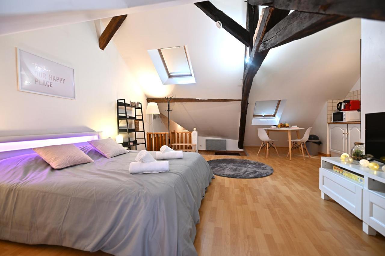 Le Cosy Du Tambour D'Argent Apartment Sens Exterior photo