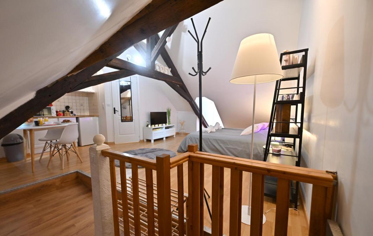 Le Cosy Du Tambour D'Argent Apartment Sens Exterior photo
